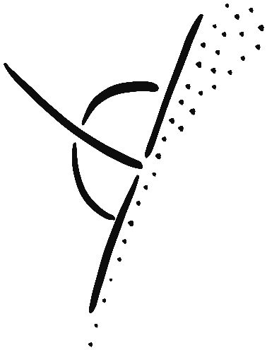 Image of the occurrence